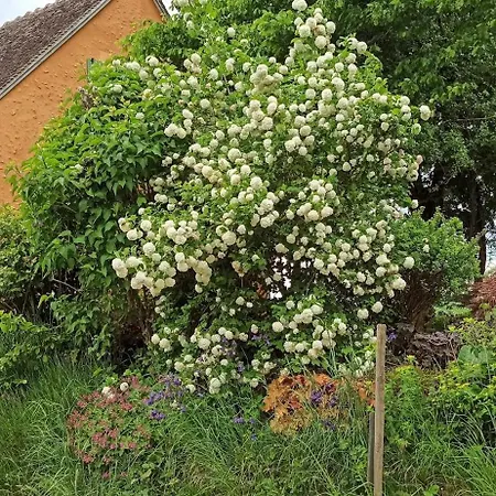 Du Perche בית נופש