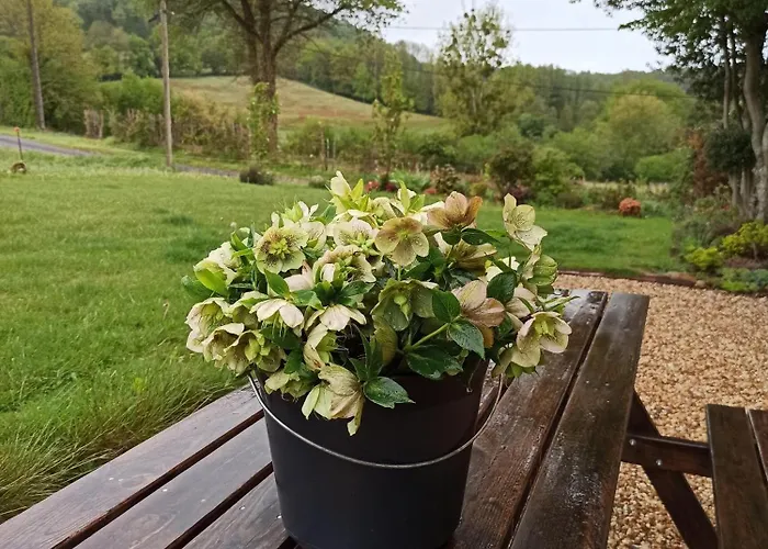 Du Perche Сasa de vacaciones