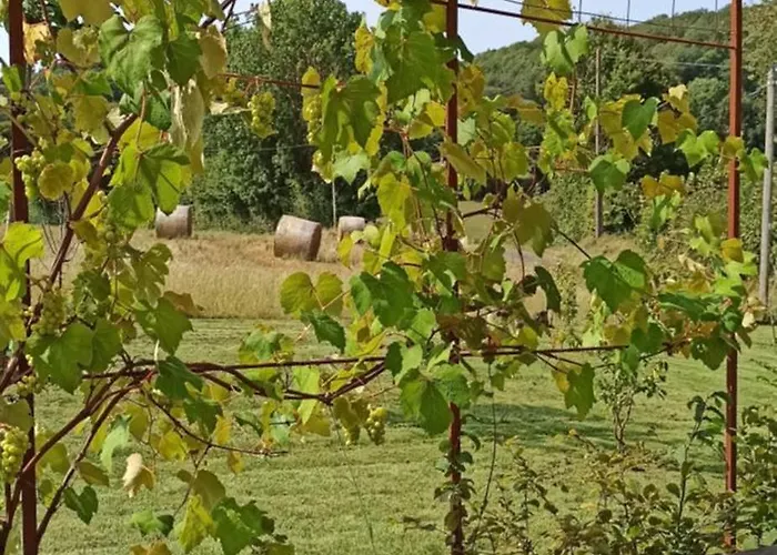 Сasa de vacaciones Du Perche