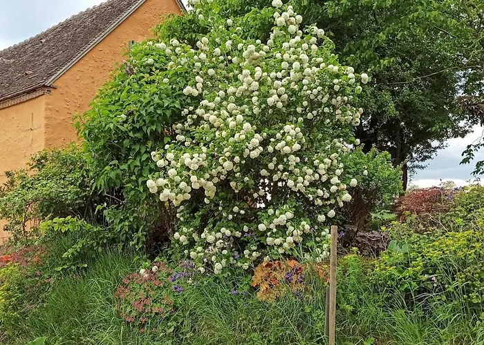 Du Perche בית נופש